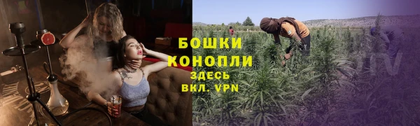 трава Переславль-Залесский