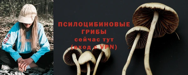 твердый Пестово