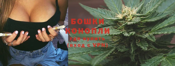 твердый Пестово