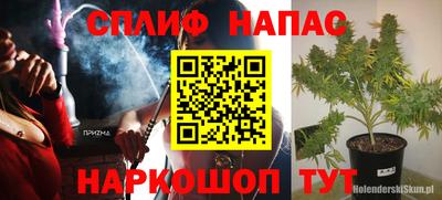 мяу мяу мука Гагарин