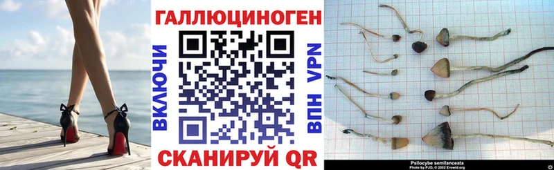 Галлюциногенные грибы Psilocybine cubensis  Алатырь 
