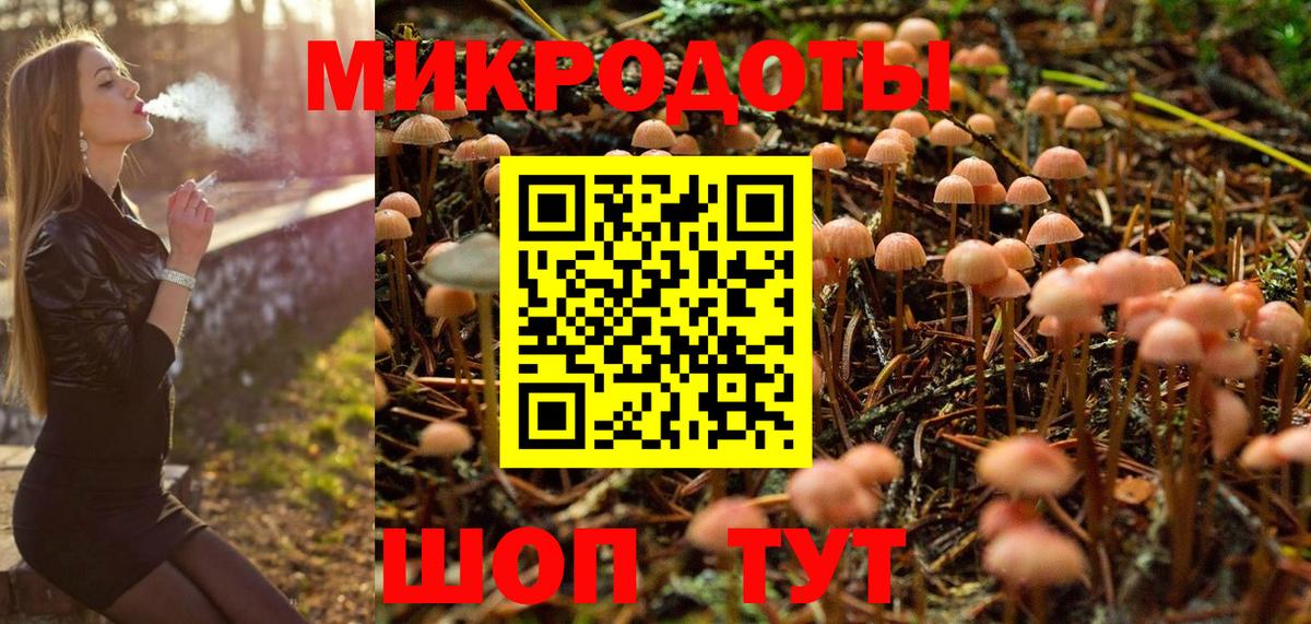 Псилоцибиновые грибы Psilocybe Алатырь