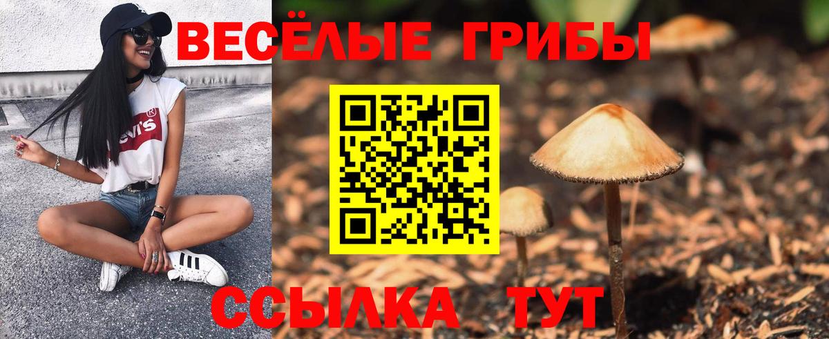 Псилоцибиновые грибы Cubensis Алатырь