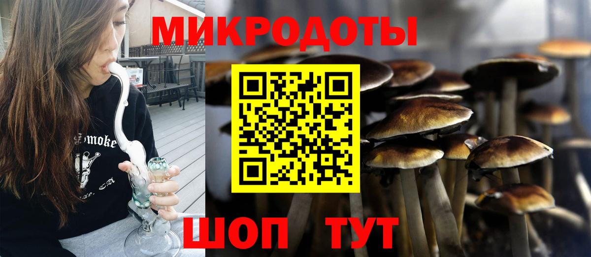 сколько стоит  Вход с VPN  Алатырь  Псилоцибиновые грибы мицелий 