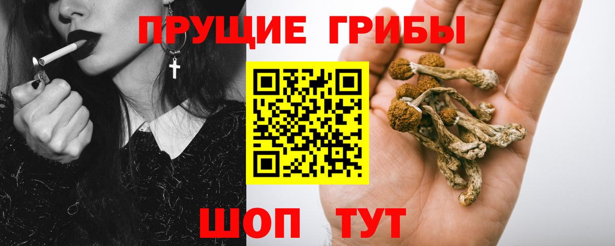 Галлюциногенные грибы Magic Shrooms Алатырь