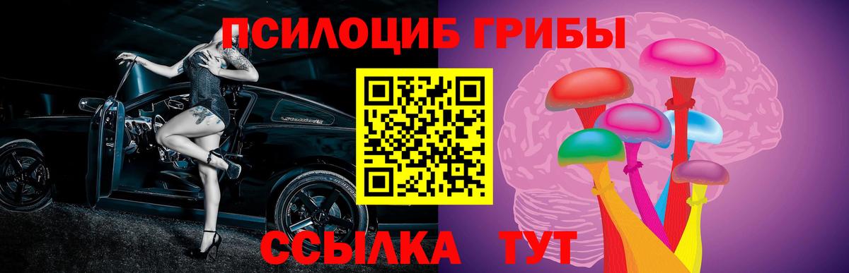 Галлюциногенные грибы Cubensis  Вход с VPN  Алатырь 