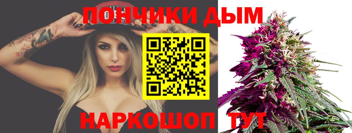 Шишки марихуана план  Шишки марихуана THC 21%  Марихуана VHQ  Вход с VPN  Алатырь 